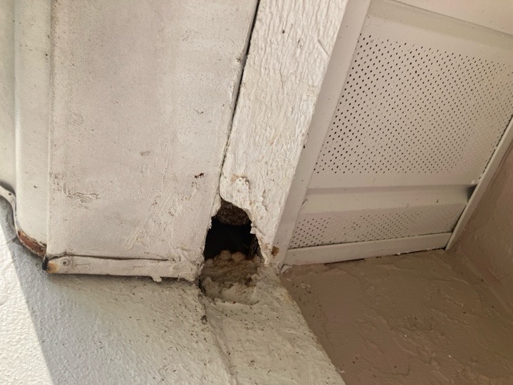 Fascia damage exterior home inspection Spring Hill Florida