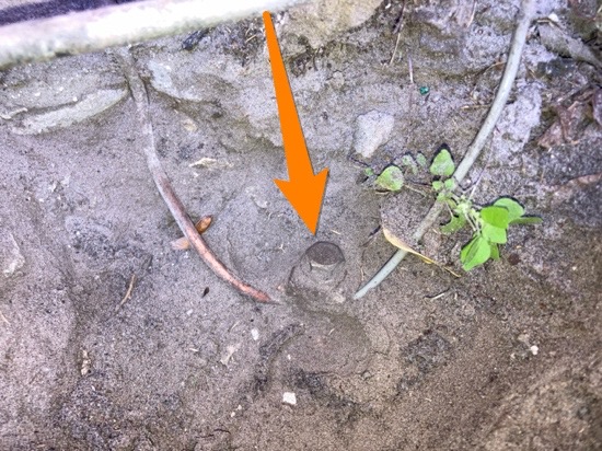 Electric ground rod Spring Hill full home inspection