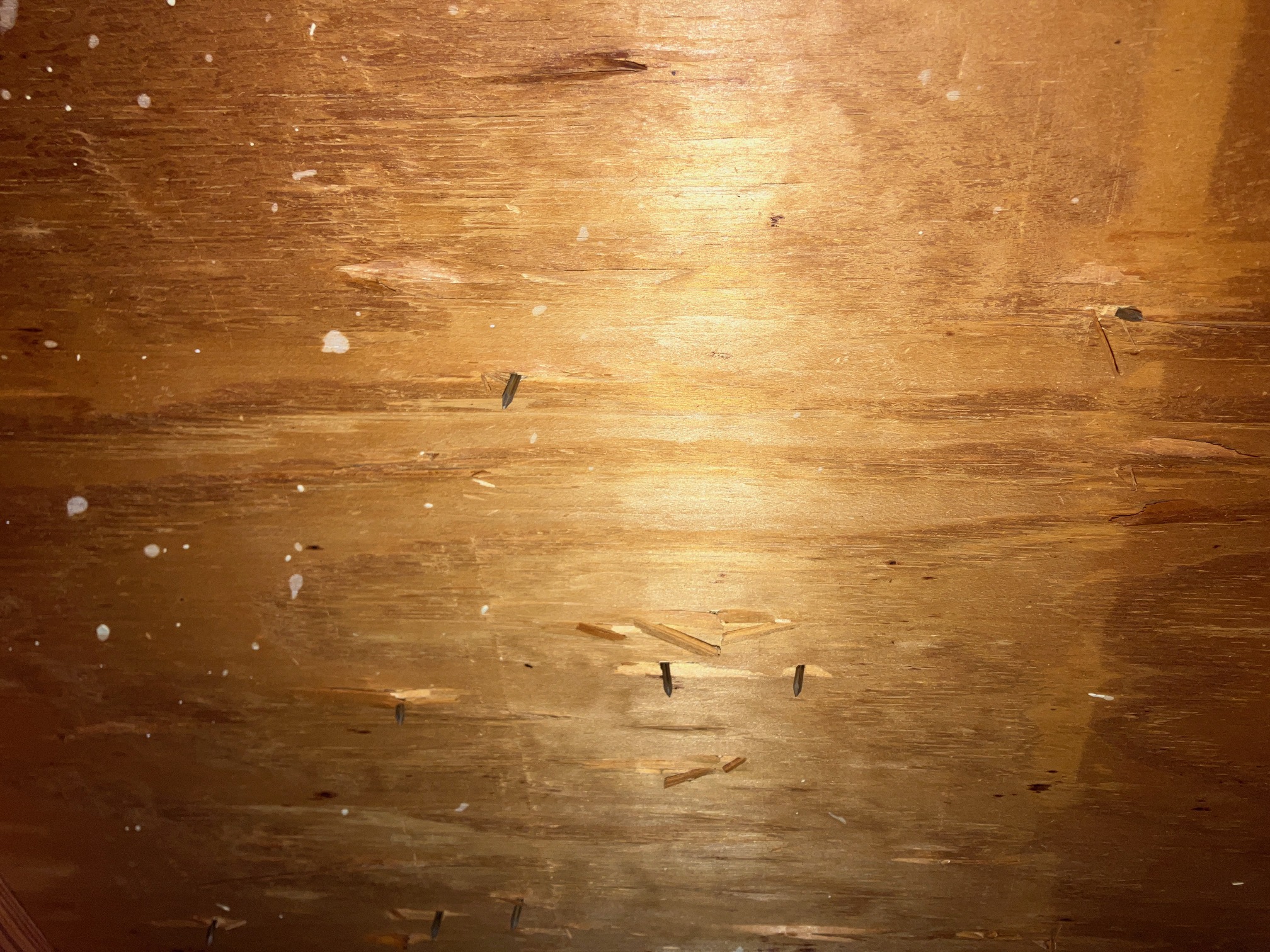 Roof decking noted during Spring Hill home inspection