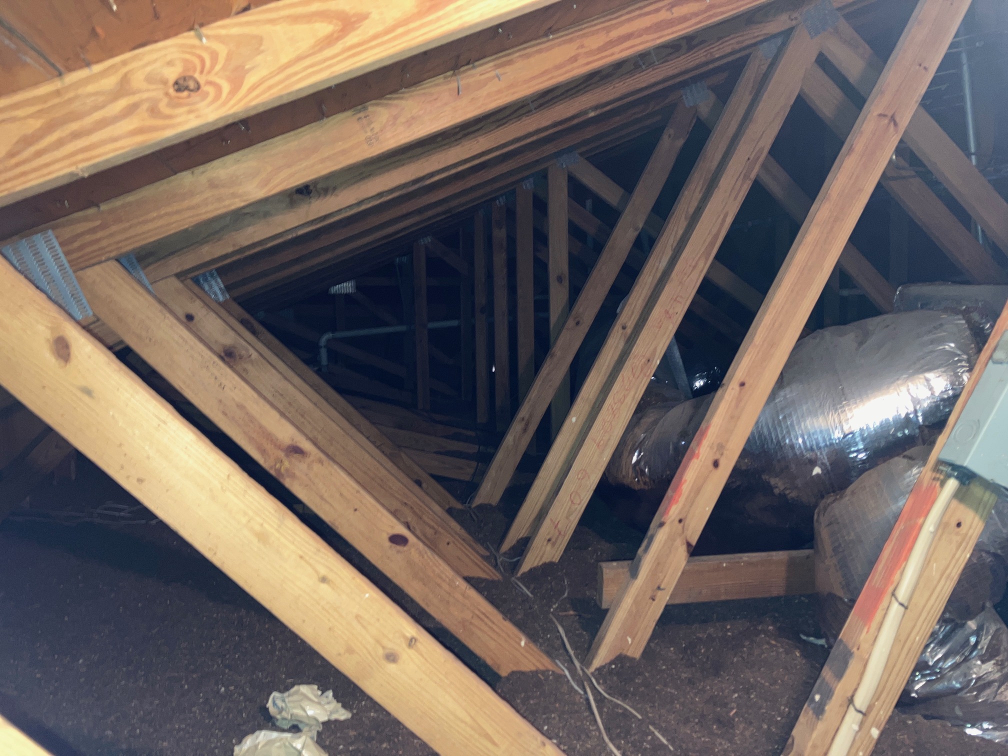 Trusses in attic during home inspection Spring Hill Florida